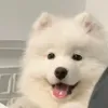 @1092054