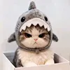 @HXyX89915