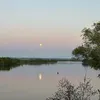 @13945355