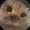 @rileyonline