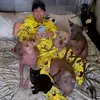 @6553432441795646464