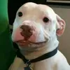 @6606711730682871813