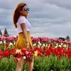 @6633099435906383878
