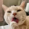 @6638707584587481093