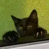 @6642751715466788869