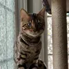 @6649207714176565254