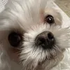 @6710021543551091717