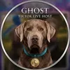 @ghost_labrador