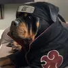 @6761074788041933830