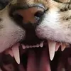 @6765665057797080070