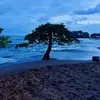 @6791204541209707526