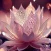 @Lotus Wellness