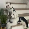 @6799270433108952069