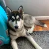 @6809066394974536709