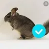 @6811491812928078853