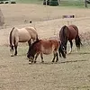 @6815046338926625798