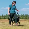 @lindseyandthedogs