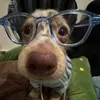@6869817752770790405