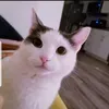 @6879512935610516486