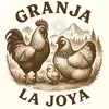 @Juan Perez🐓🐤🐥🐣🦆🐢