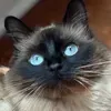 @6899937449780265989