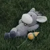 @6900880561218257925