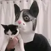 @6910987682659566598