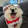 @6933286564388127749