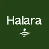 @halaraus