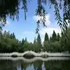 @6976209706323870726