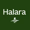 @Halara shop