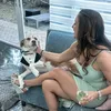 @workoutdogmomlive