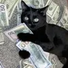 @7051500927902090286