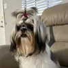 @7092545659916534826