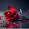 @7093189095788708910
