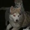 @7106607567622849579