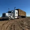 @lazaro🚛379😸cat🦾