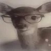 @7156049808272000043