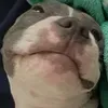 @7167211163637679150