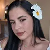@rosaidyperez