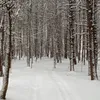 @big_d_deal