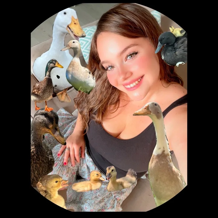 @petalsandpoultryfarm