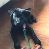 @7260517624873829418