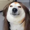 @7272596003365930027