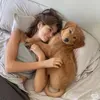 @7275244472689951786