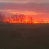 @emily661020