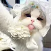 @7275735070093706283