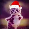 @7278054908763898926