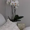 @7278599603888260139