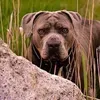 @7280662984306672686
